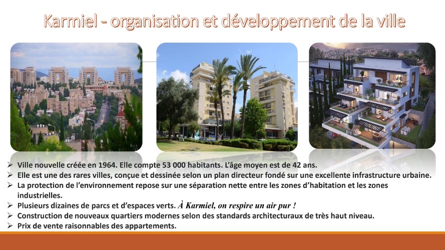 Organisation et développement de la ville